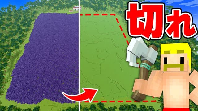 トラック4万台分以上の超広い森の木をすべて切るまで終われません！【マイクラ】