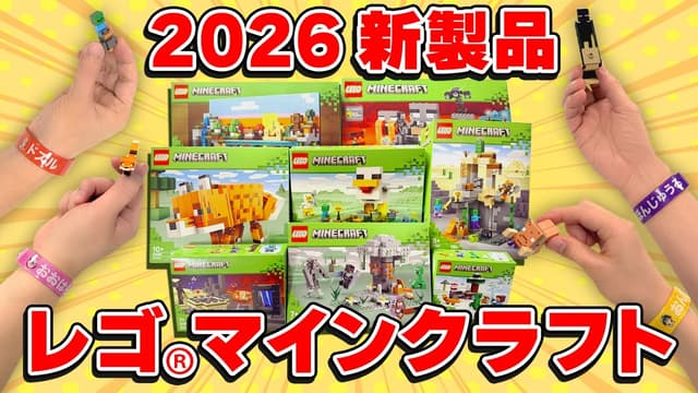 【実写】みんなで仲良く組み立てます！【レゴ®マインクラフト】